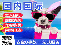 果洛玛沁航空快递国际宠物托运 【国